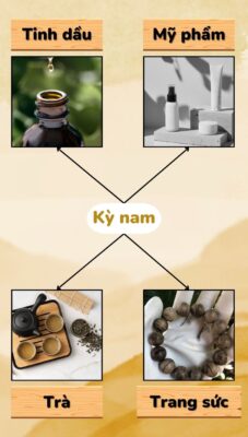 Đối với đời sống và nền công nghiệp hiện tại
