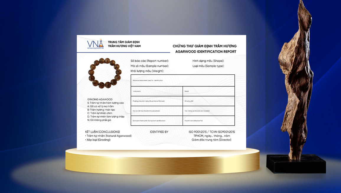 Dịch vụ giám định VNA Lab