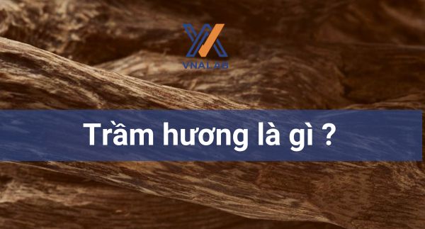 Trầm hương là gì ?