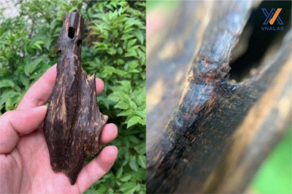 Trầm hương chìm nước là gì?